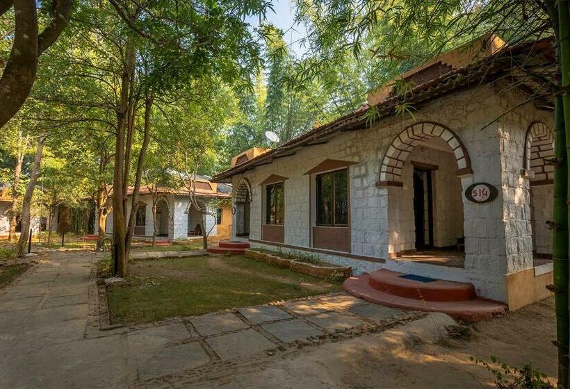 Стандартный Номер Кровать Кинг, Jungle King Resort