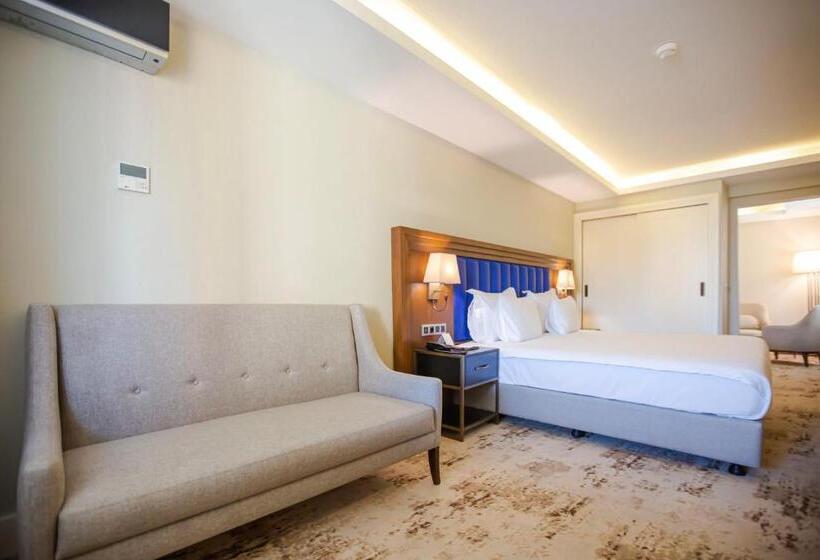 سوئیت با تخت بزرگ, Ramada Plaza Sultanahmet