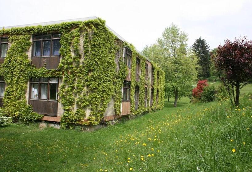 Апартаменты 1 Спальня, Morgentau Appartement
