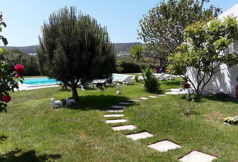 Номер Стандарт Вид на Бассейн, Quinta Camargue