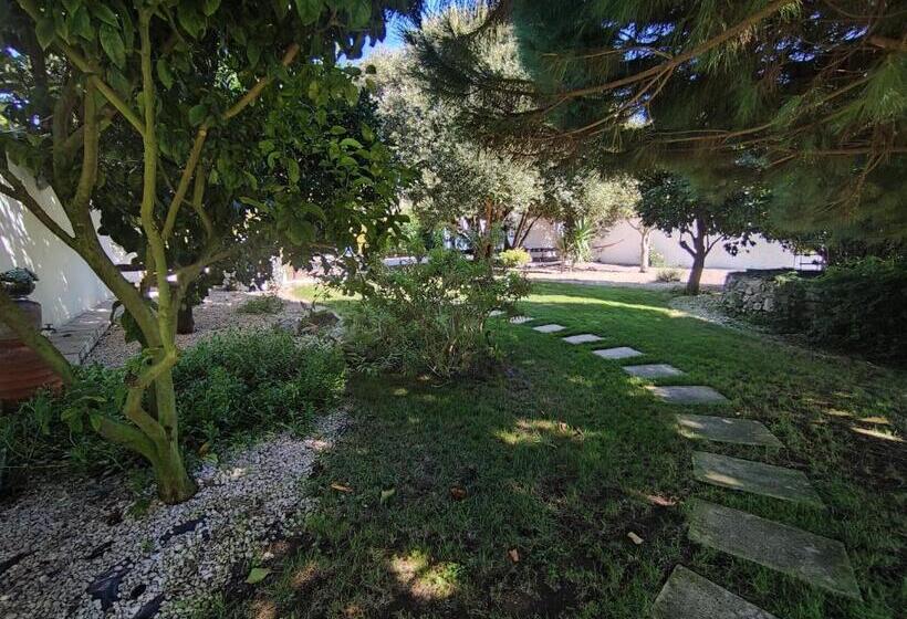 Номер Superior Вид на Бассейн, Quinta Camargue