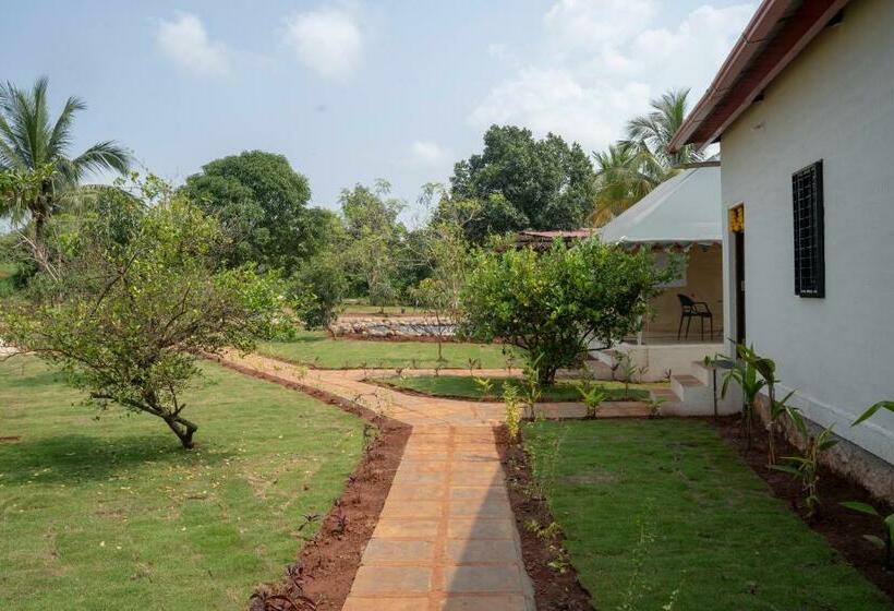Номер Стандарт с Балконом, Roy S Nature Nest   Farm Stay Near Malshej Ghats