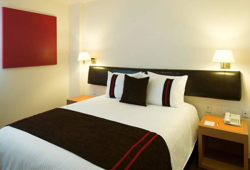 Номер Стандарт, Mision Express Queretaro