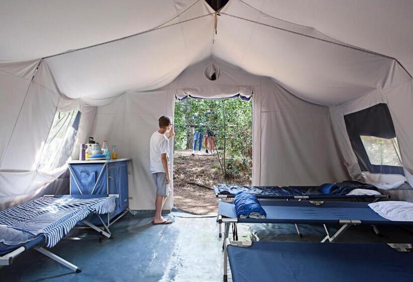 Standard Tent, Puntala Camp & Resort