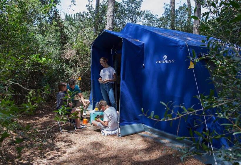 Standard Tent, Puntala Camp & Resort
