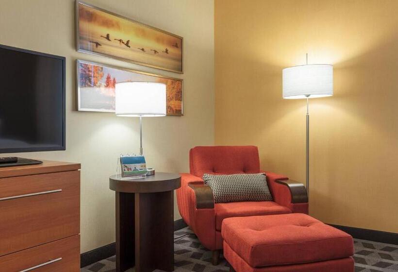 Студия Стандарт Двуспальная Кровать, Towneplace Suites By Marriott Belleville