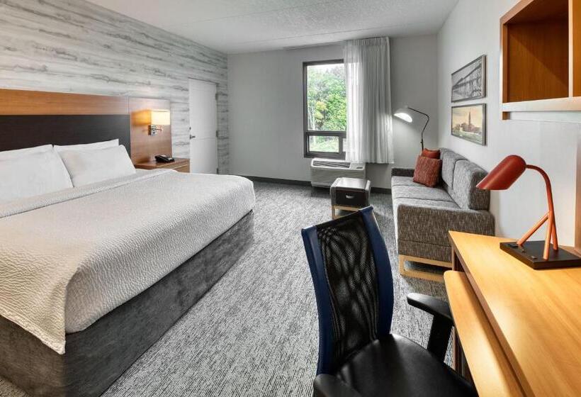 Студия Стандарт Двуспальная Кровать, Towneplace Suites By Marriott Belleville