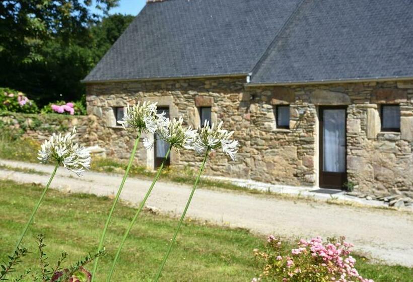 Номер Стандарт, Domaine Des Fougères