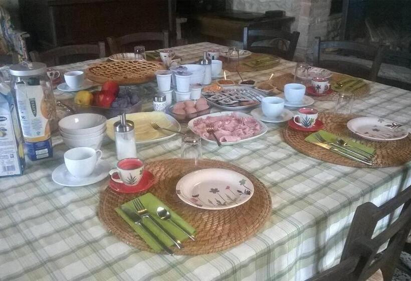 Номер Стандарт, Ca  Növa