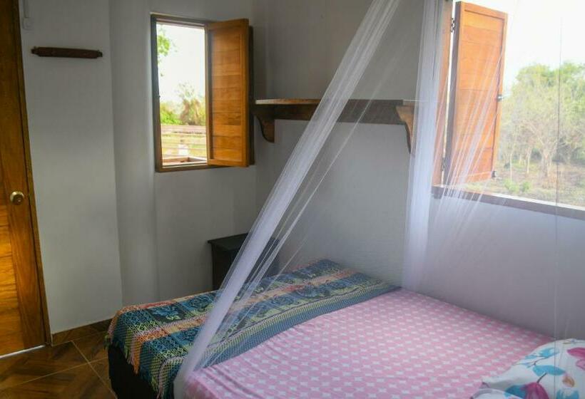 Quarto Estandar, L  Europe