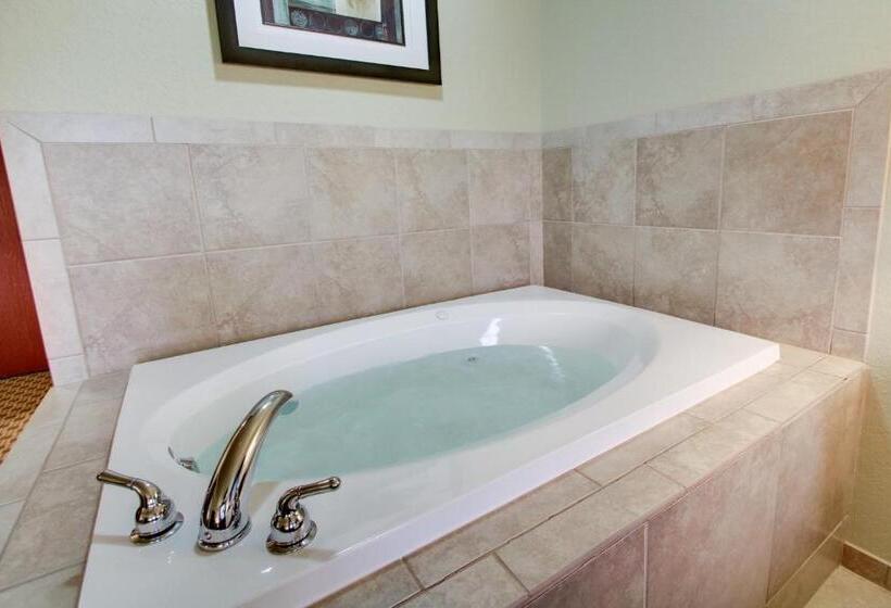 스탠다드 룸 킹사이즈 침대, Cobblestone Inn & Suites   Schuyler