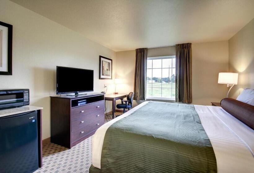 스탠다드 룸 킹사이즈 침대, Cobblestone Inn & Suites   Schuyler