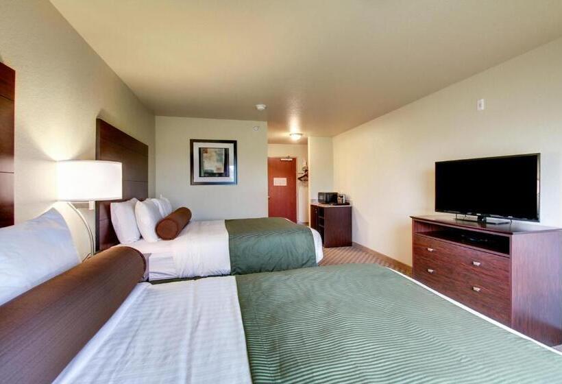 스탠다드 룸, Cobblestone Inn & Suites   Schuyler