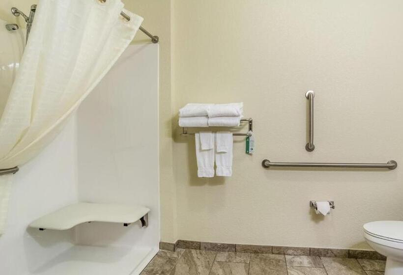 장애인을 위한 킹사이즈 침대 스탠다드 룸, Cobblestone Inn & Suites   Schuyler