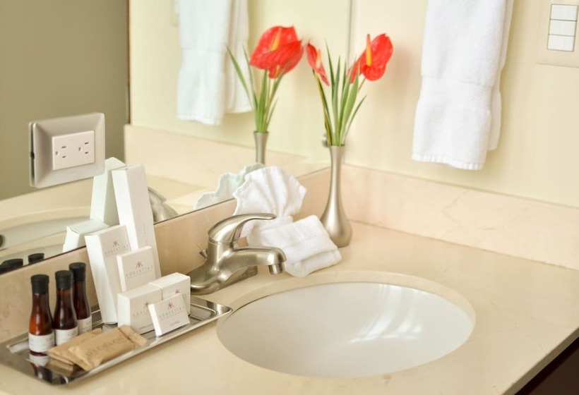 سوییت اجرایی, Adriatika Hotel & Residence