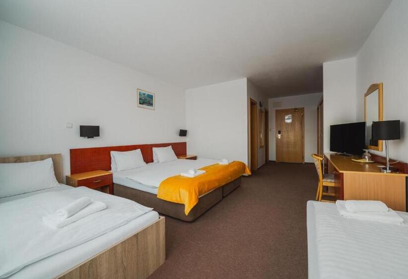 Номер Стандарт, Vila Horec   Depandance Hotela Hubert Vital Resort