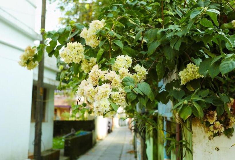 스탠다드 룸, Honolulu Home