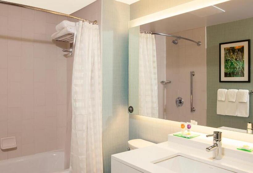 Standard Szoba King Size Bed, Hyatt Place Champaign/urbana