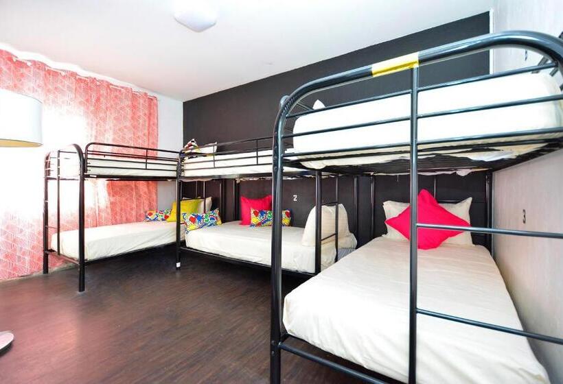 공동 객실, South Beach Rooms And Hostel