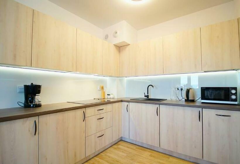 Апартаменты 1 Спальня, Apartamenty Everysky   Słowackiego 5a B