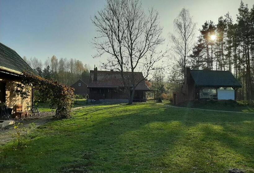 Дом 4 Спальни, Agroturystyka żubr