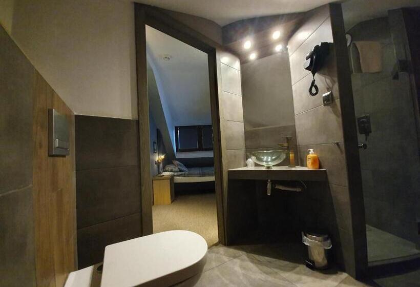 Номер Economy Индивидуальный, Villa Garden Kutno Centrum