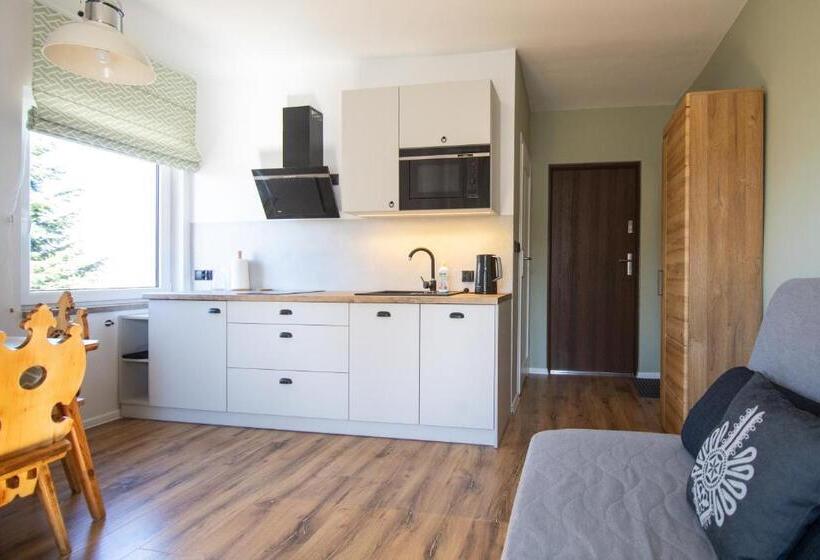 Студия Стандарт, 5 Wierchów Apartamenty
