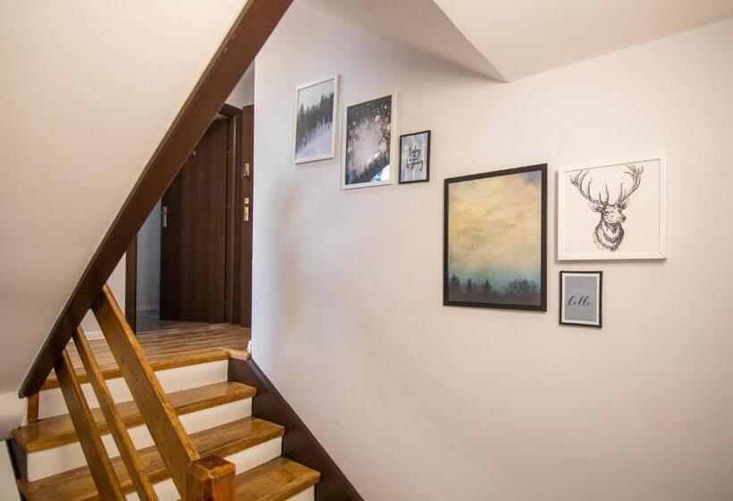 Студия Стандарт, 5 Wierchów Apartamenty