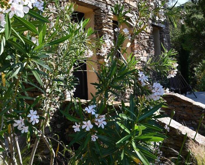 اتاق استاندارد با بالکن, Chambres D Hôtes Le Pontillaou