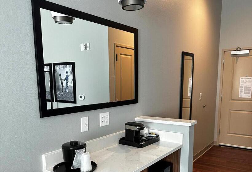 اتاق استاندارد با تخت بزرگ برای معلولان, Americinn By Wyndham Mountain Home