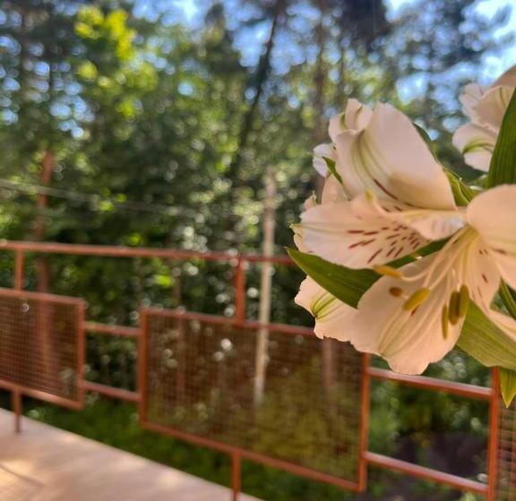 Номер Стандарт, Kompozitor Hotel Dilijan