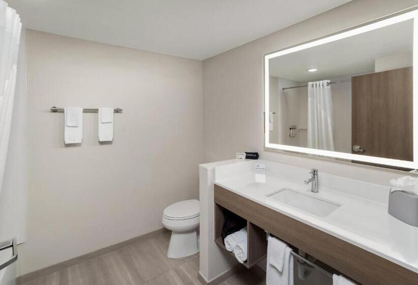 Номер Стандартный Кровать Куин, Holiday Inn Express Hattiesburg West Univ Area