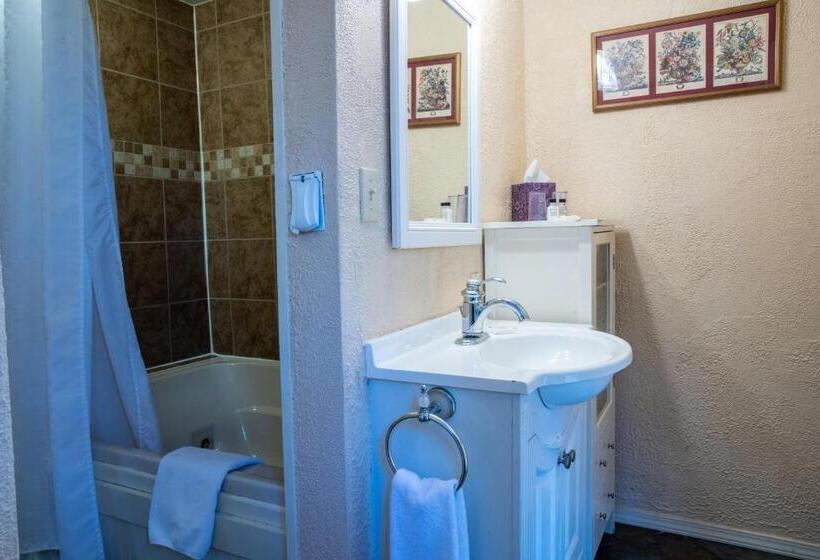 Номер Deluxe Одноместный, 5 Ojo Inn Bed And Breakfast