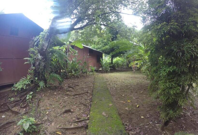 בונגלו סטנדרט עם נוף לגינה, Cabaña En El Rincon Corcovado