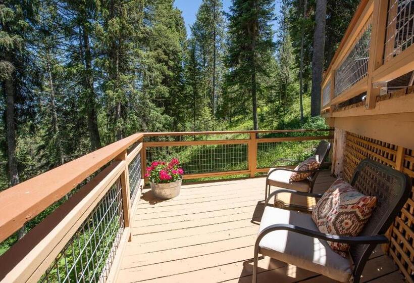 Номер Стандарт, Jackson Hole Hideout