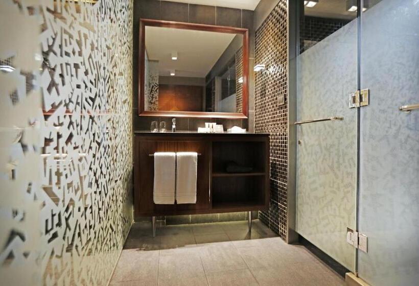 اتاق استاندارد, Cumbres Lastarria