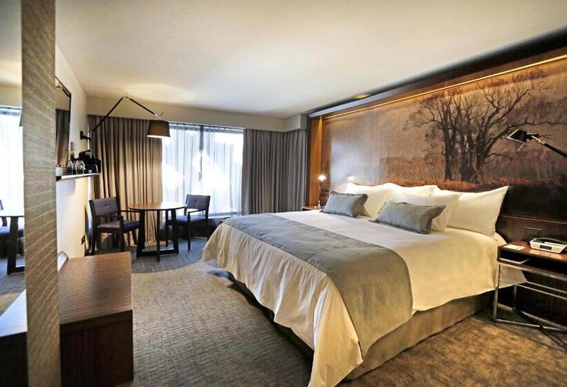اتاق سوپریور, Cumbres Lastarria