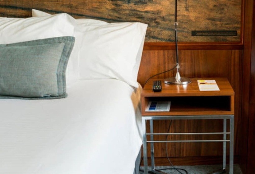 اتاق استاندارد یک نفره, Cumbres Lastarria
