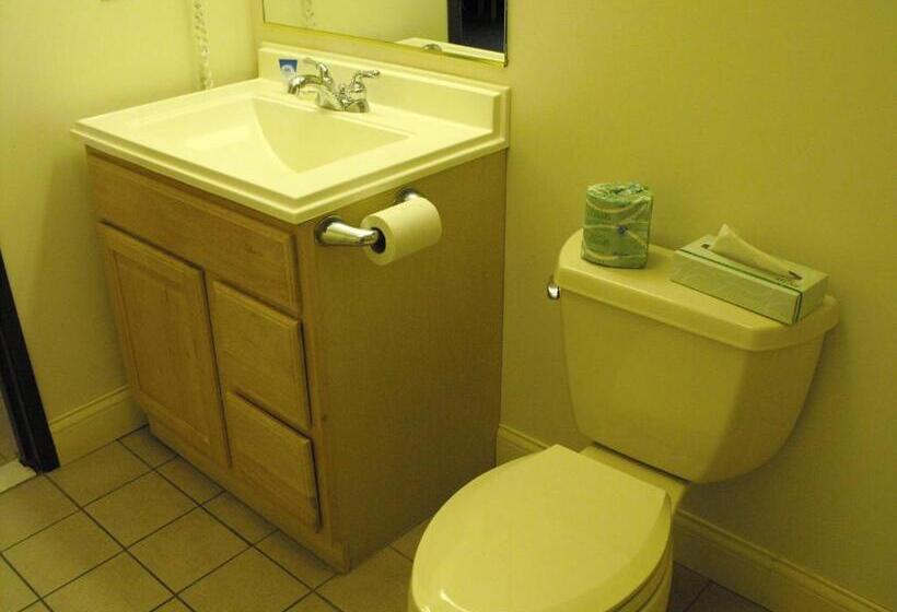 스위트 킹사이즈 침대, Americas Best Value Inn Three Rivers