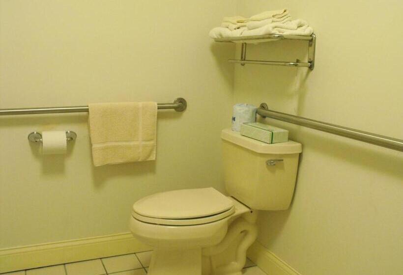 스탠다드 룸, Americas Best Value Inn Three Rivers