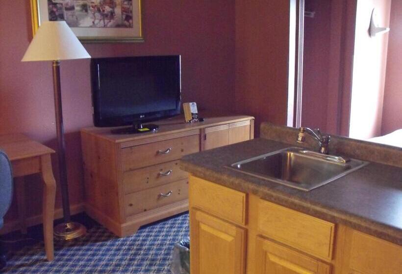 스탠다드 룸, Americas Best Value Inn Three Rivers