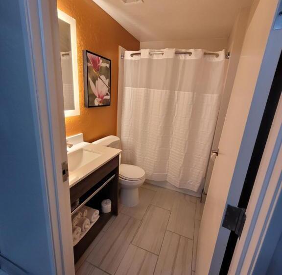 스탠다드 룸, Best Western Bellemont Shadow Mountain Inn
