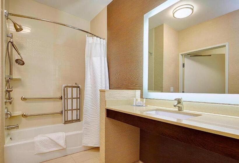 带大床的标准间, Fairfield Inn & Suites By Marriott San Diego Carlsbad