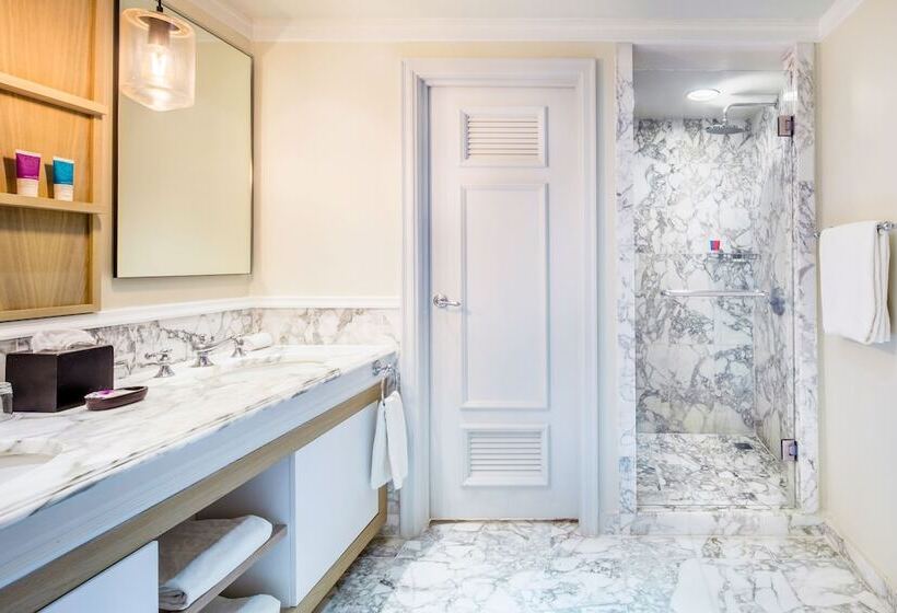 اتاق استاندارد با چشم‌انداز دریا, Hyatt Ziva Rose Hall All Inclusive