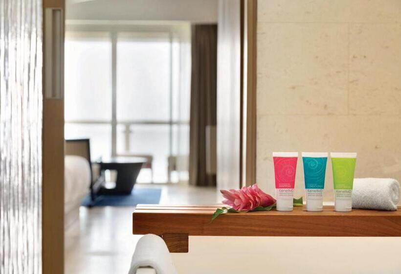 سوییت جونیور با چشم‌انداز دریا, Hyatt Ziva Rose Hall All Inclusive