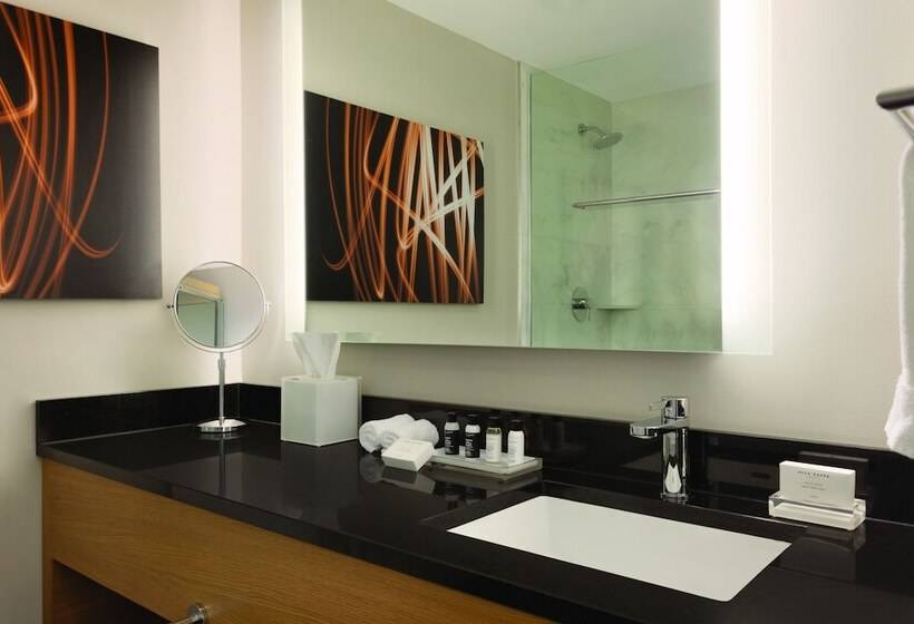 行政套房, Executive Hotel Le Soleil New York