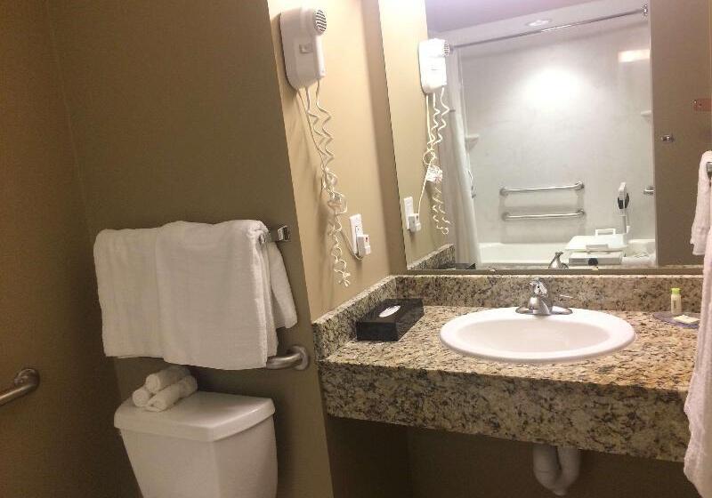 Номер Стандарт, Holiday Inn Express & Suites Litchfield, An Ihg