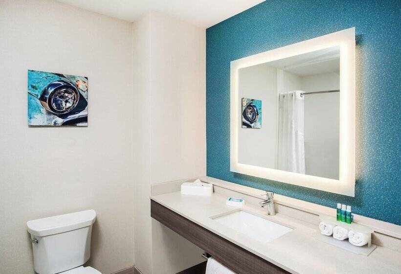 套房, Holiday Inn Express & Suites Litchfield, An Ihg