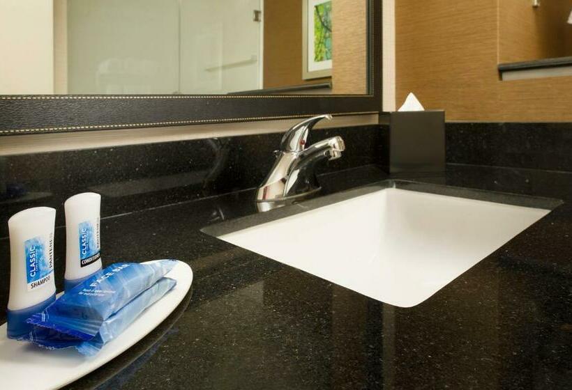 Президентский Люкс, Fairfield Inn & Suites By Marriott Arundel Mills Bwi Airport