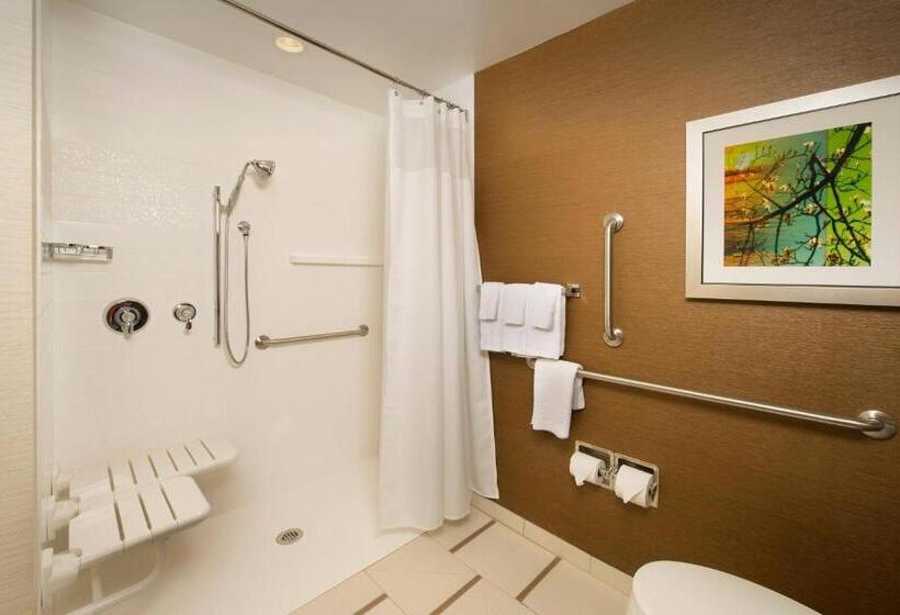 Стандартный Номер Кровать Кинг, Fairfield Inn & Suites By Marriott Arundel Mills Bwi Airport